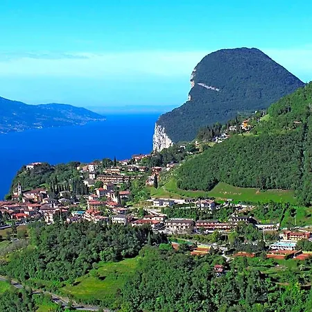Terry 4* Tremosine